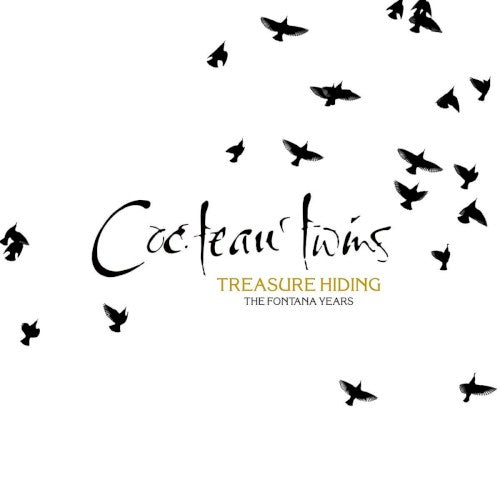 Song Cover Image