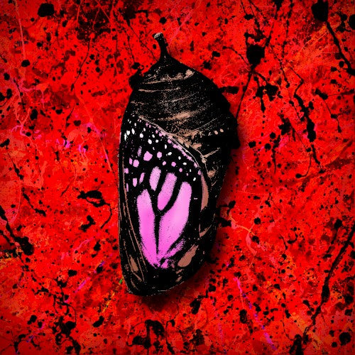 Song Cover Image